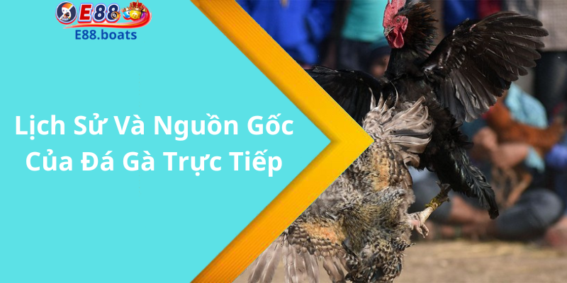 Lịch Sử Và Nguồn Gốc Của Đá Gà Trực Tiếp